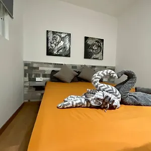 https://apartamento-la-mareta.puertodelcarmen-hotels.org